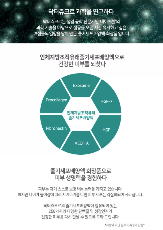 화이트크림 웹기술서3